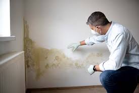 Best Airborne Mold Testing  in Gluckstadt, MS